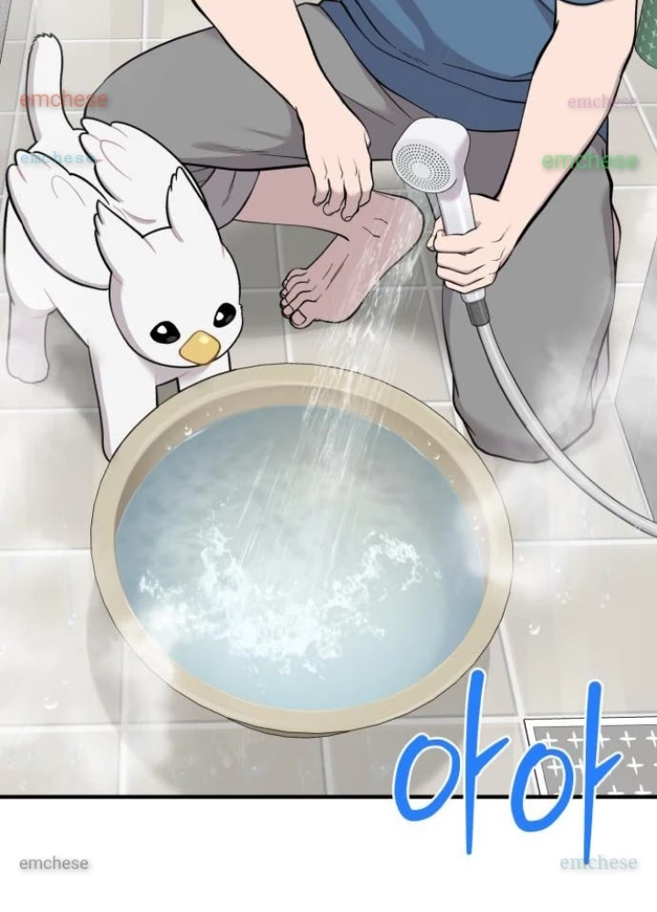 Chào Nhé, Griffin Mắt Tròn! Chapter 11 - 11