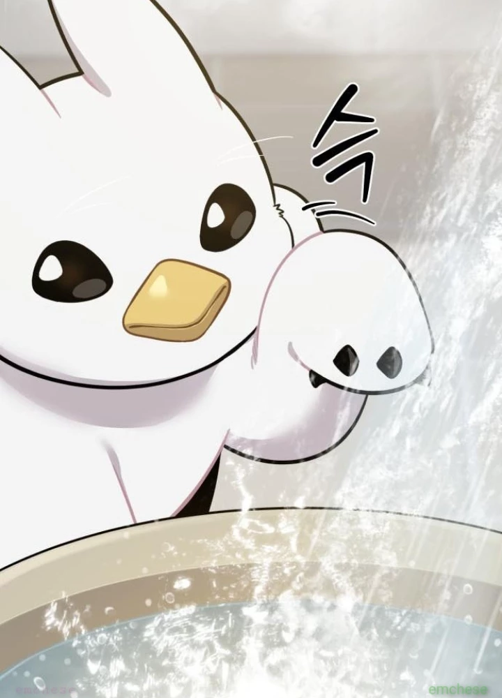 Chào Nhé, Griffin Mắt Tròn! Chapter 11 - 17