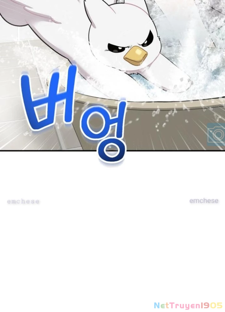 Chào Nhé, Griffin Mắt Tròn! Chapter 11 - 37