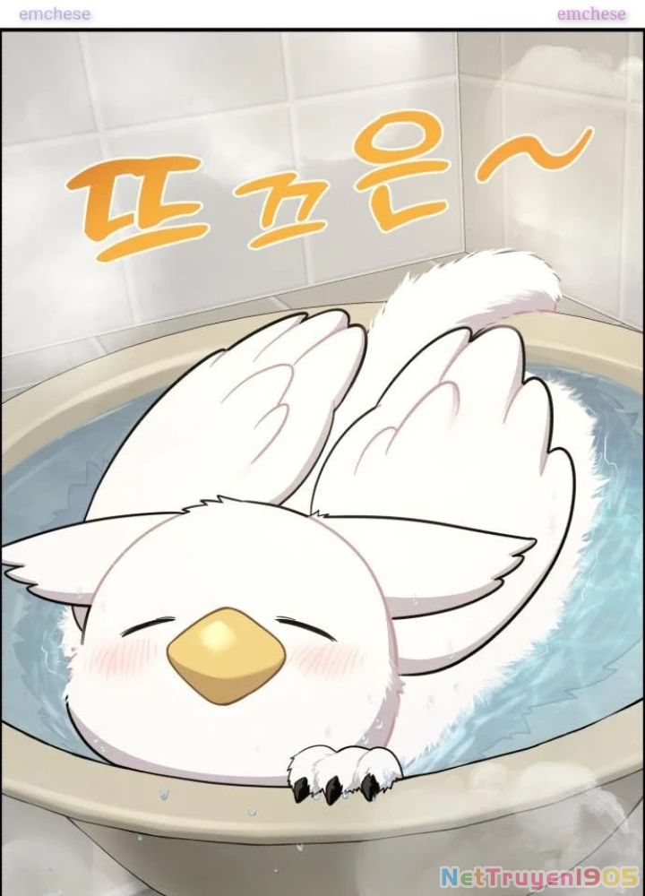 Chào Nhé, Griffin Mắt Tròn! Chapter 11 - 41