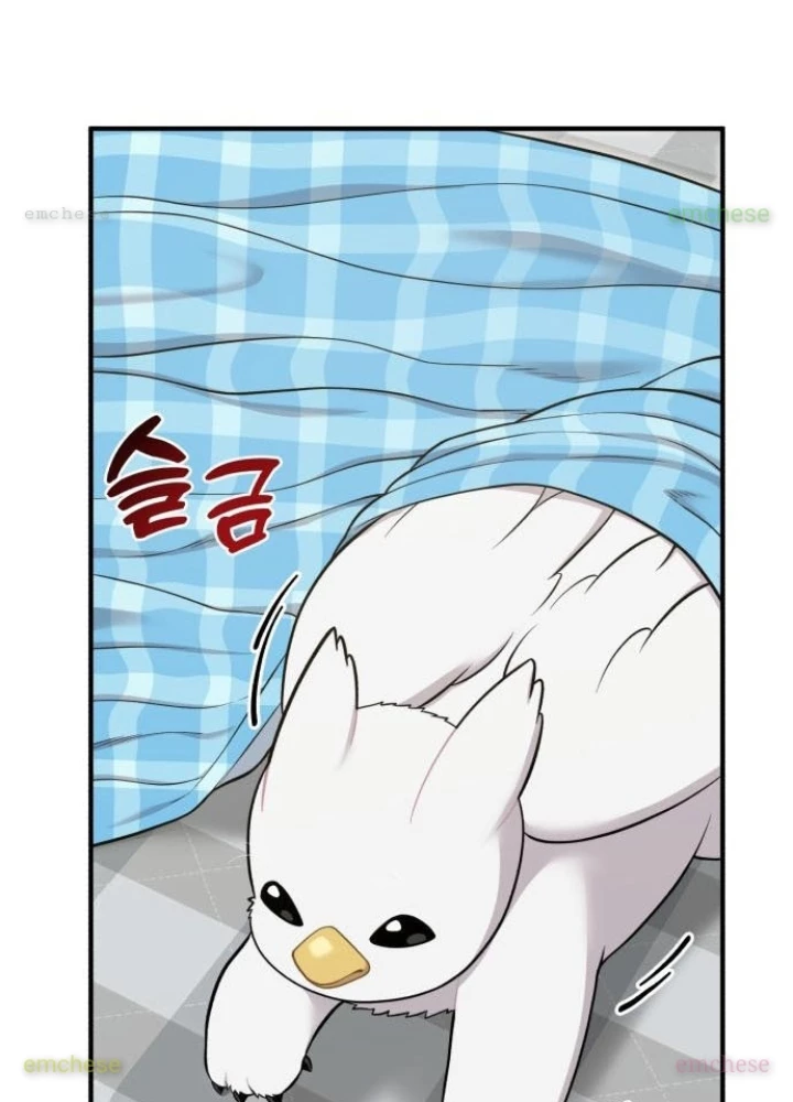 Chào Nhé, Griffin Mắt Tròn! Chapter 11 - 131