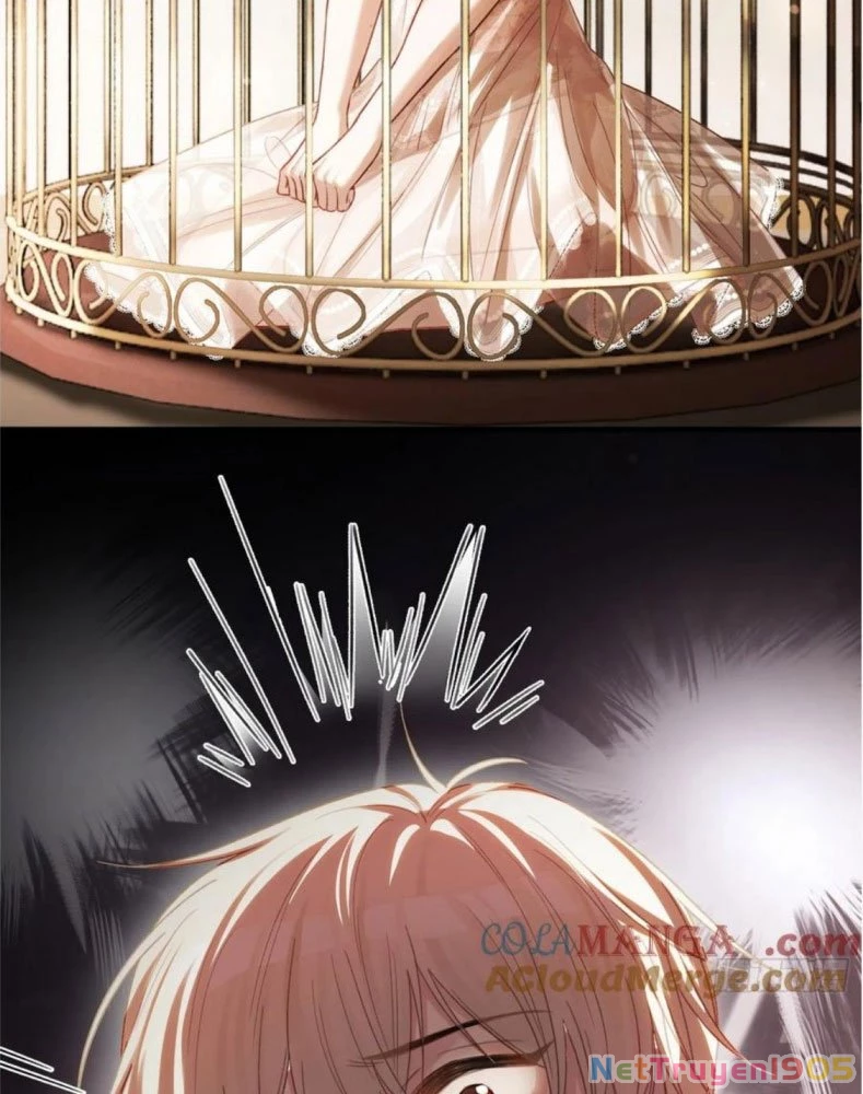 Xuyên Nhanh: Quan Hệ Gây Nghiện Chapter 39 - 14