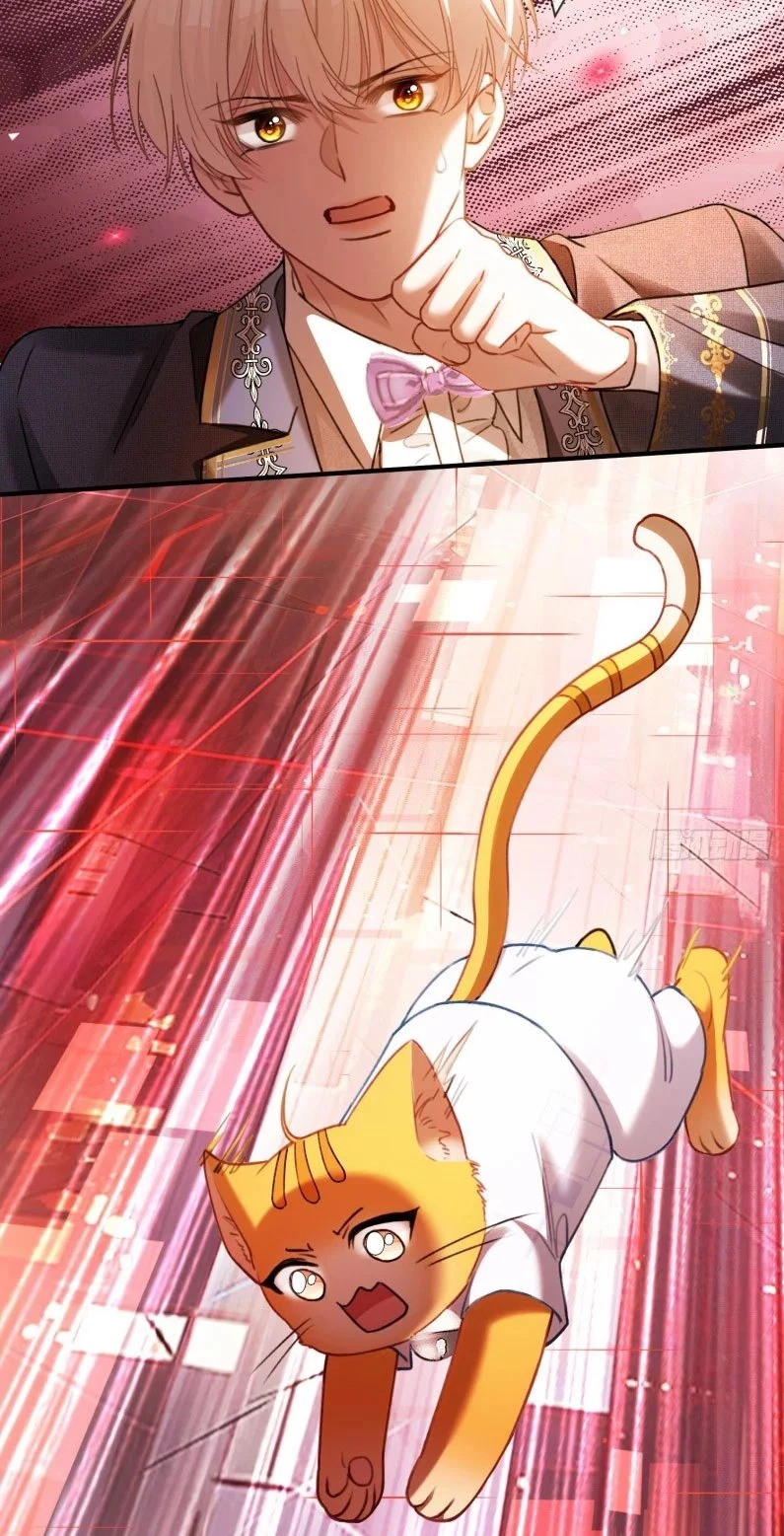 Xuyên Nhanh: Quan Hệ Gây Nghiện Chapter 81 - 14