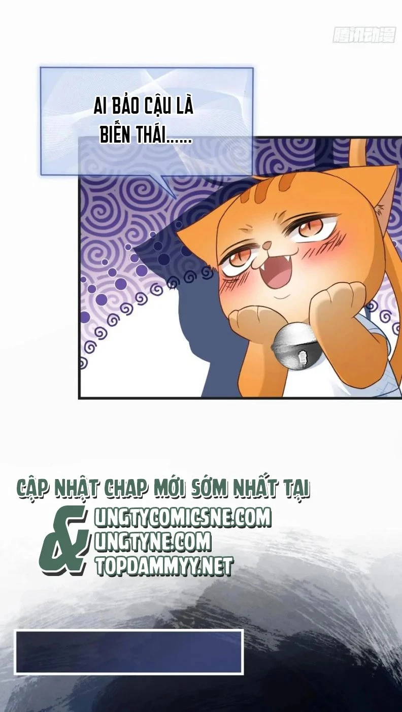 Xuyên Nhanh: Quan Hệ Gây Nghiện Chapter 86 - 21