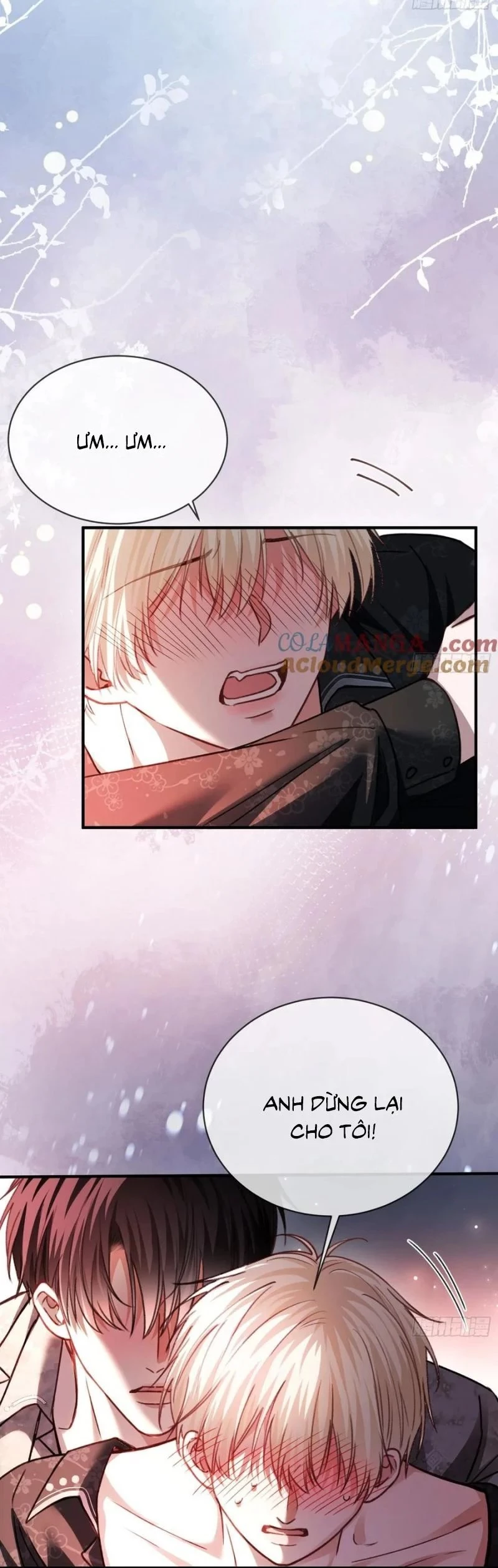 Xuyên Nhanh: Quan Hệ Gây Nghiện Chapter 102 - 14