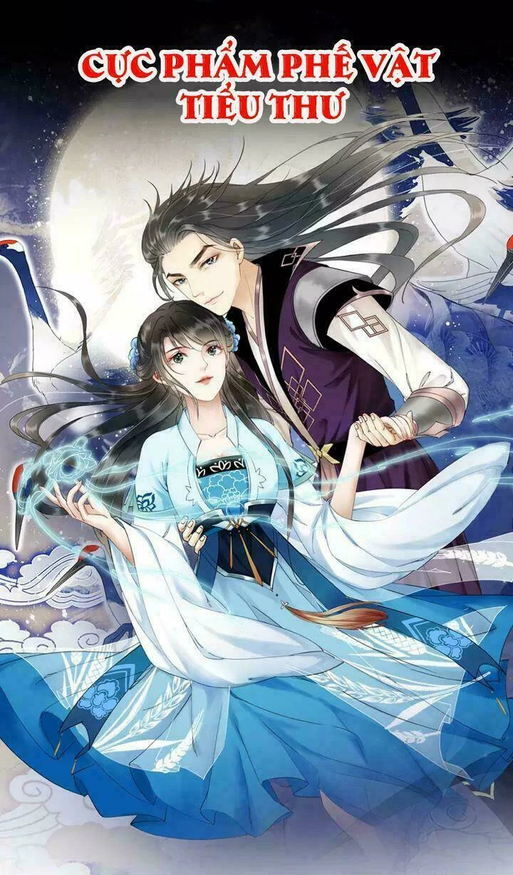 Cực Phẩm Phế Vật Tiểu Thư Chapter 1 - 1