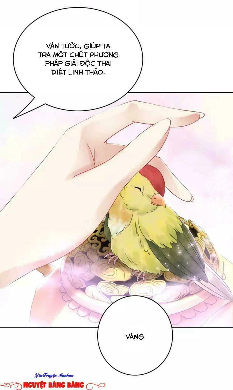 Cực Phẩm Phế Vật Tiểu Thư Chapter 10 - 28
