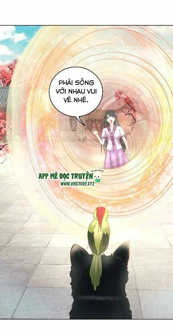 Cực Phẩm Phế Vật Tiểu Thư Chapter 40 - 28