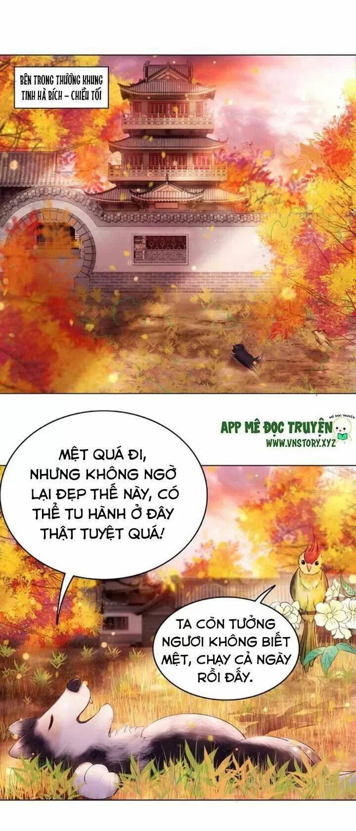 Cực Phẩm Phế Vật Tiểu Thư Chapter 42 - 2