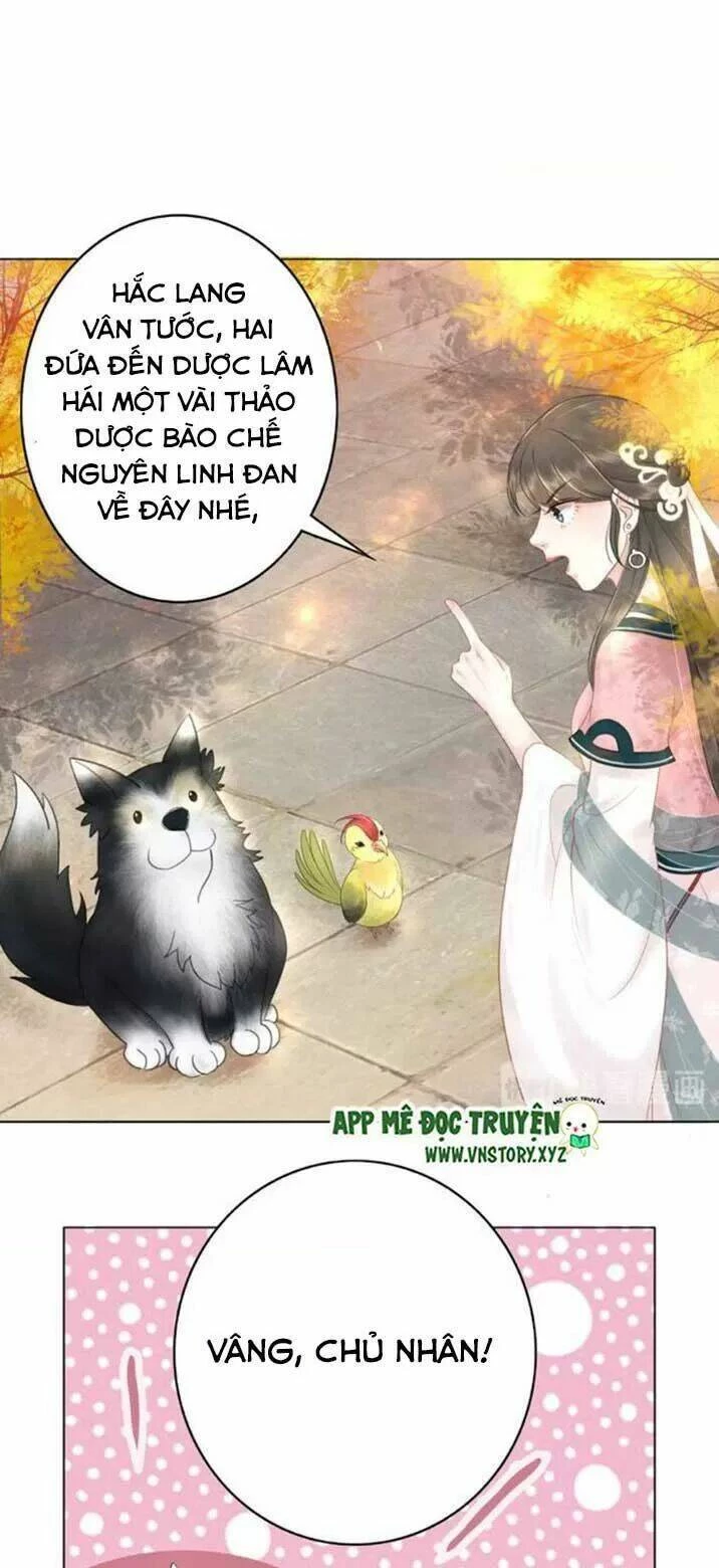 Cực Phẩm Phế Vật Tiểu Thư Chapter 43 - 10