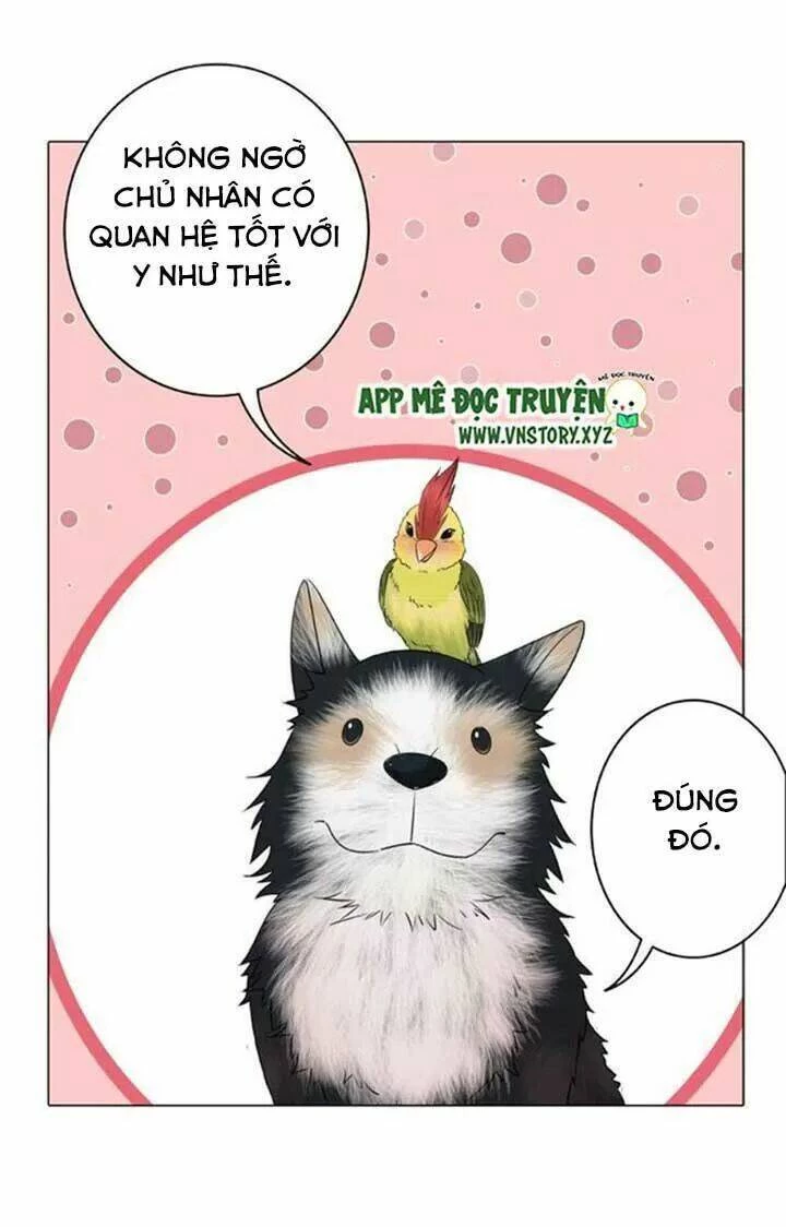 Cực Phẩm Phế Vật Tiểu Thư Chapter 46 - 9