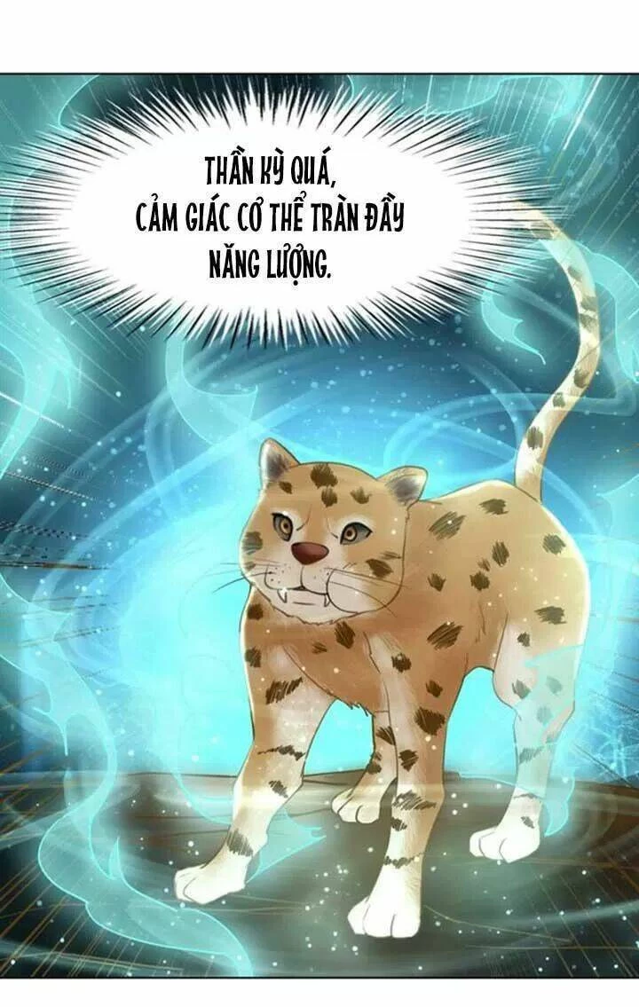 Cực Phẩm Phế Vật Tiểu Thư Chapter 60 - 46