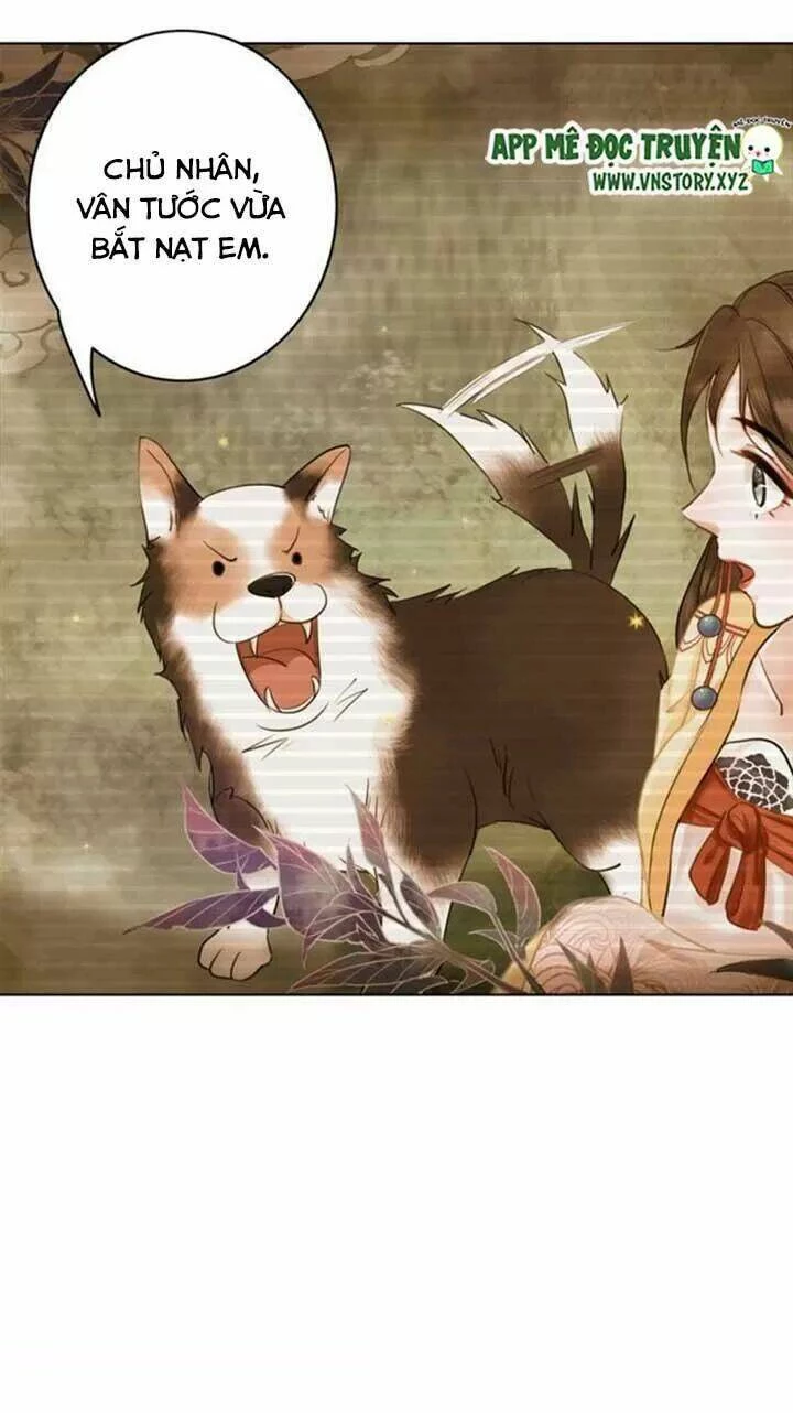 Cực Phẩm Phế Vật Tiểu Thư Chapter 61 - 5