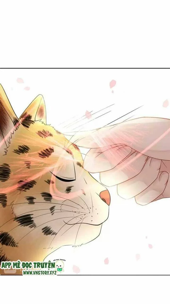 Cực Phẩm Phế Vật Tiểu Thư Chapter 61 - 35