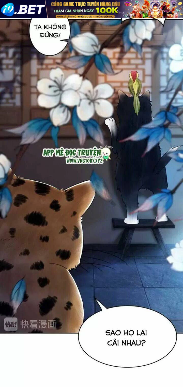 Cực Phẩm Phế Vật Tiểu Thư Chapter 64 - 52