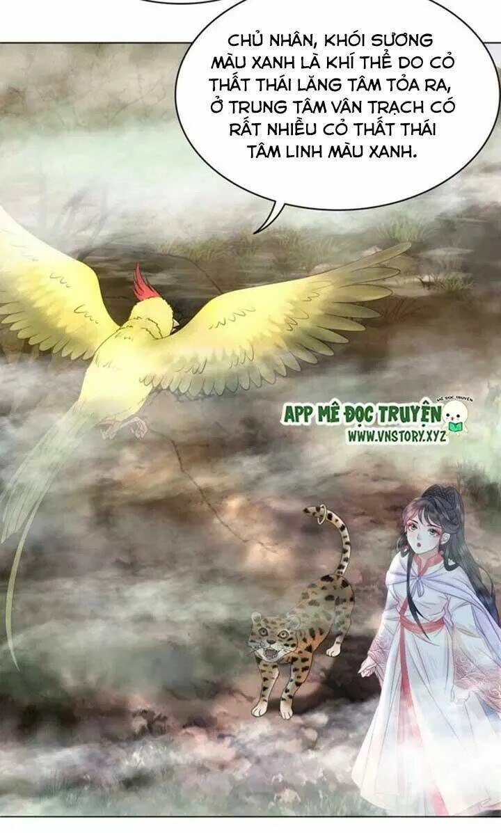 Cực Phẩm Phế Vật Tiểu Thư Chapter 67 - 12