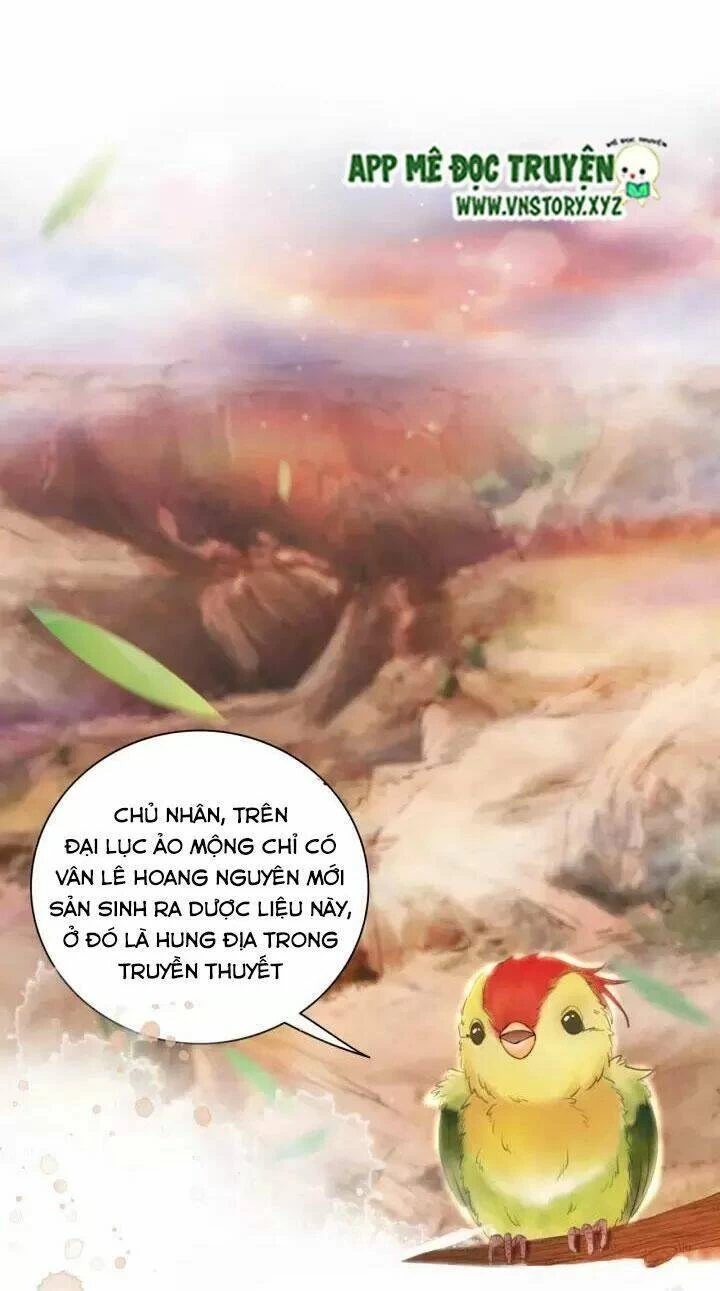 Cực Phẩm Phế Vật Tiểu Thư Chapter 105 - 4