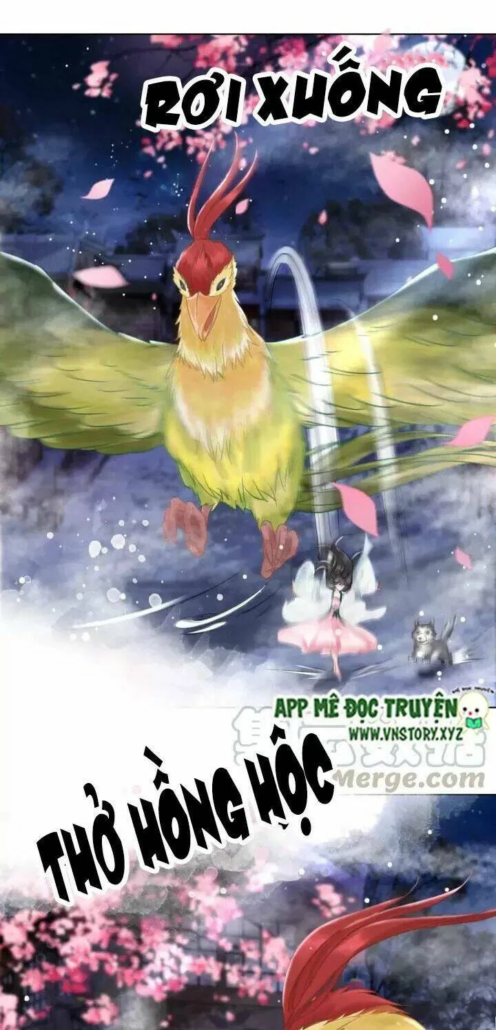 Cực Phẩm Phế Vật Tiểu Thư Chapter 105 - 12