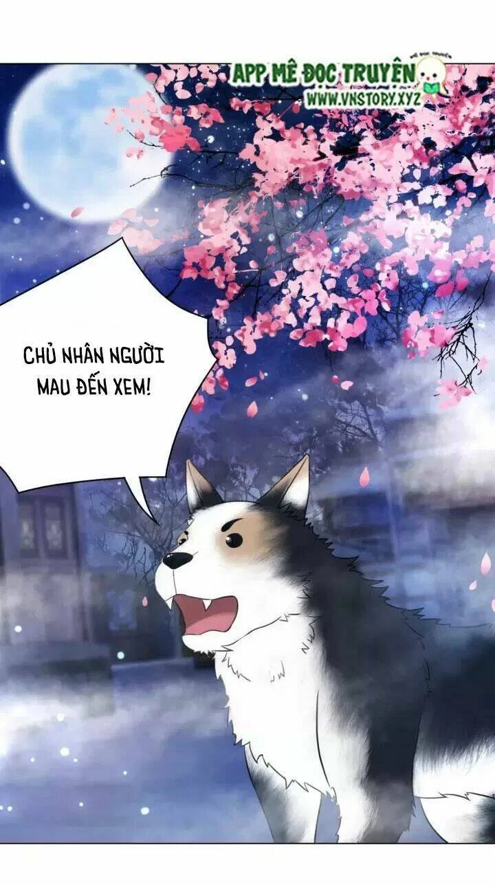 Cực Phẩm Phế Vật Tiểu Thư Chapter 105 - 19