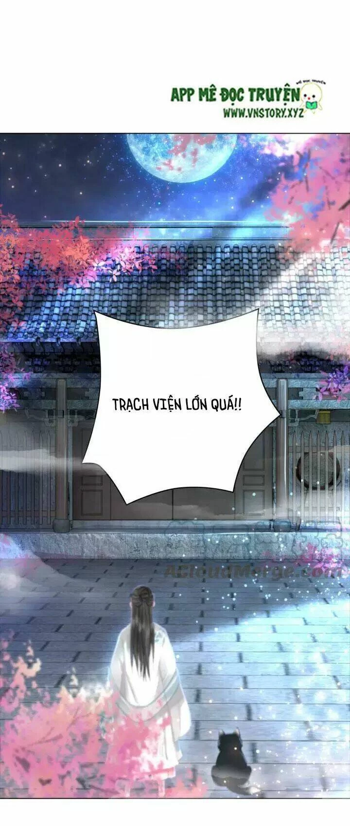 Cực Phẩm Phế Vật Tiểu Thư Chapter 105 - 20