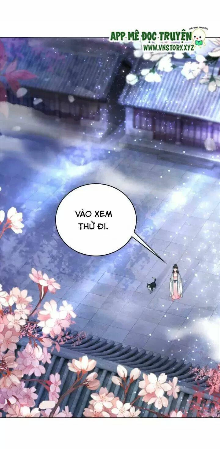 Cực Phẩm Phế Vật Tiểu Thư Chapter 105 - 23