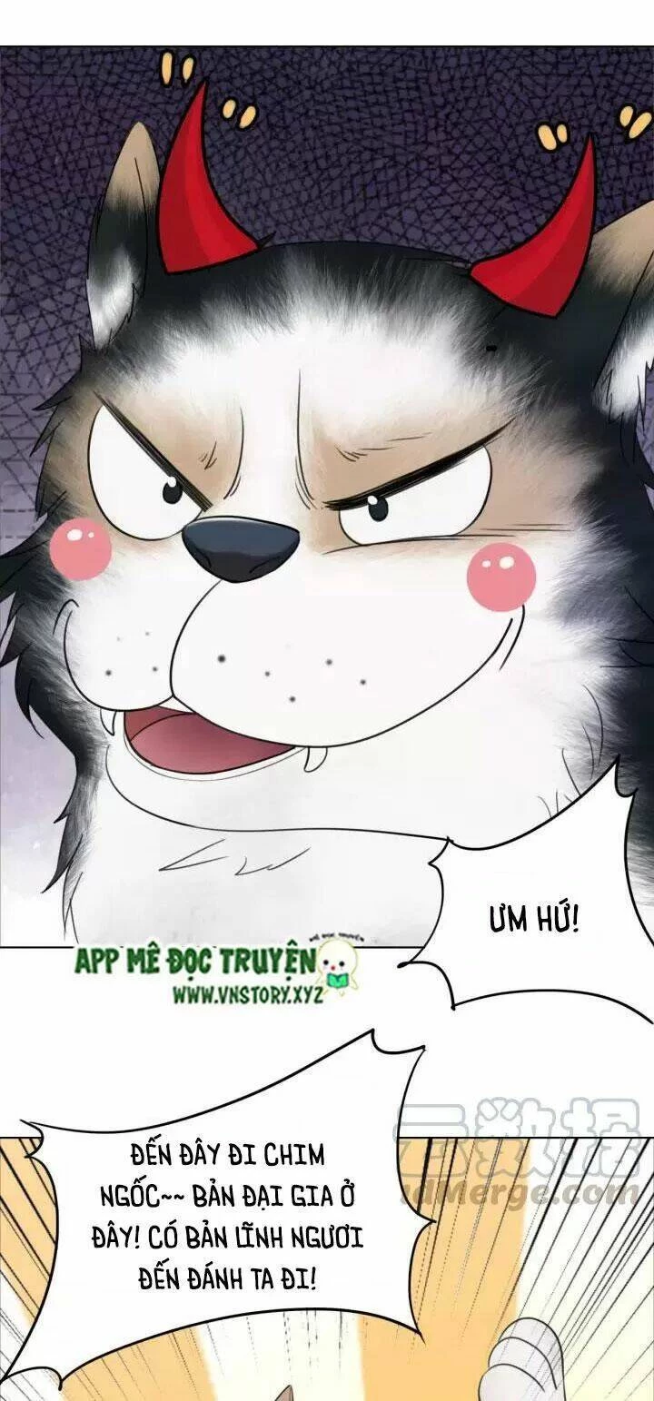 Cực Phẩm Phế Vật Tiểu Thư Chapter 106 - 18