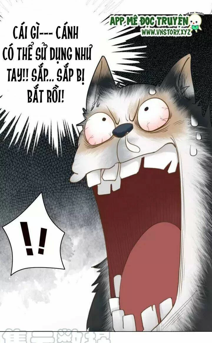 Cực Phẩm Phế Vật Tiểu Thư Chapter 106 - 25