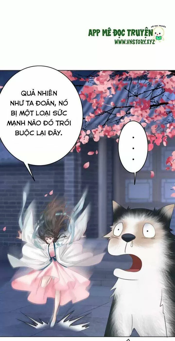 Cực Phẩm Phế Vật Tiểu Thư Chapter 106 - 28