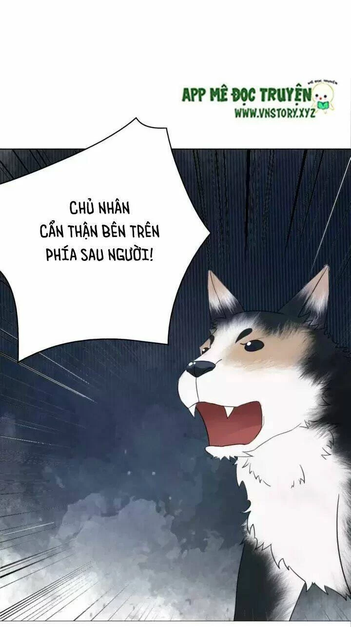 Cực Phẩm Phế Vật Tiểu Thư Chapter 106 - 35