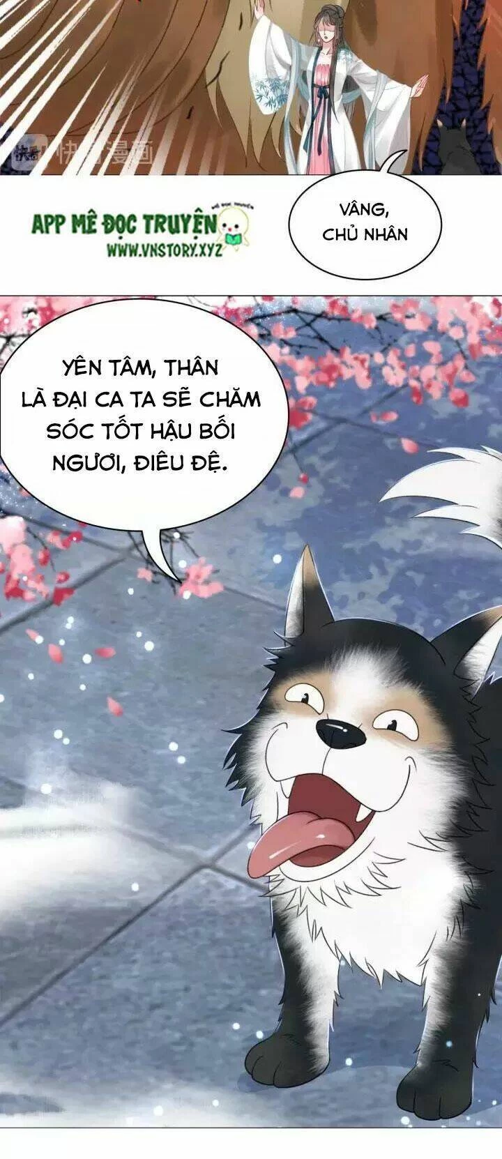 Cực Phẩm Phế Vật Tiểu Thư Chapter 108 - 11