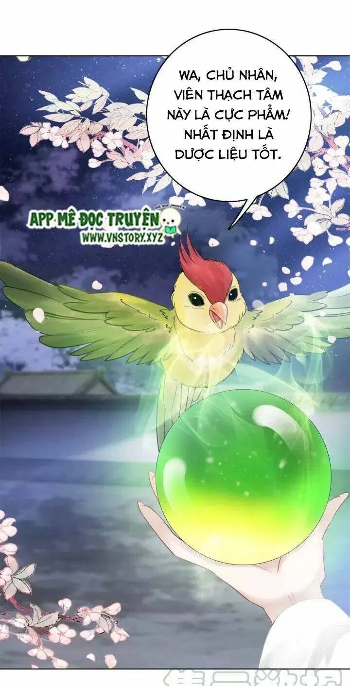 Cực Phẩm Phế Vật Tiểu Thư Chapter 108 - 16