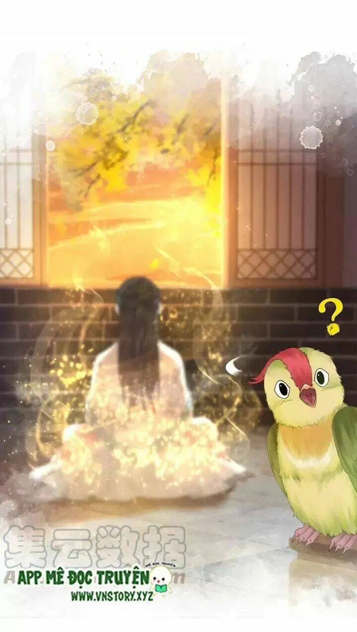 Cực Phẩm Phế Vật Tiểu Thư Chapter 108 - 25