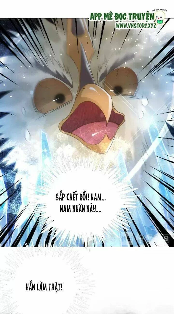 Cực Phẩm Phế Vật Tiểu Thư Chapter 109 - 4