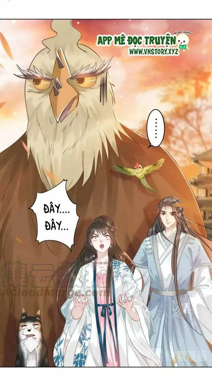 Cực Phẩm Phế Vật Tiểu Thư Chapter 109 - 19