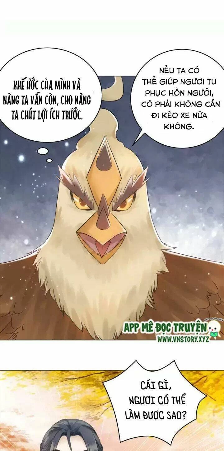 Cực Phẩm Phế Vật Tiểu Thư Chapter 109 - 26