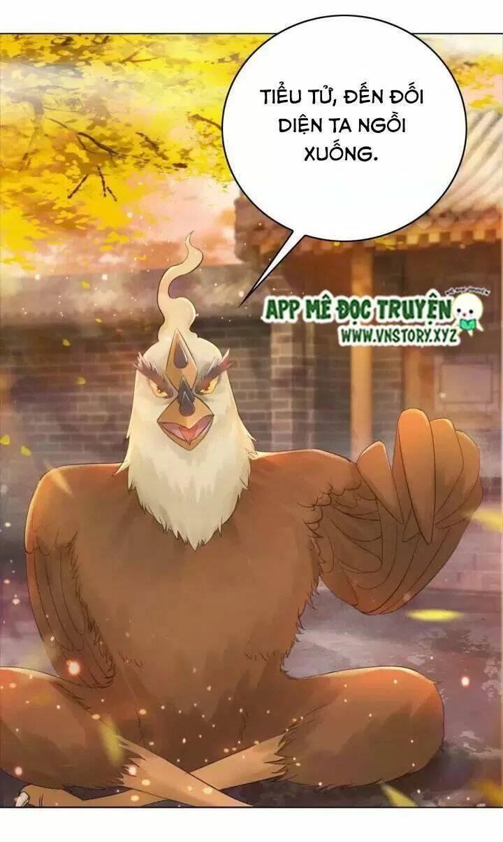 Cực Phẩm Phế Vật Tiểu Thư Chapter 109 - 28
