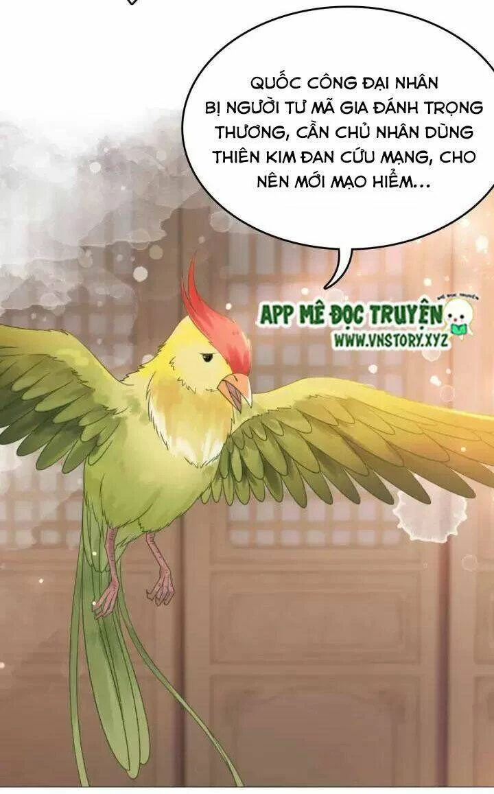 Cực Phẩm Phế Vật Tiểu Thư Chapter 109 - 52