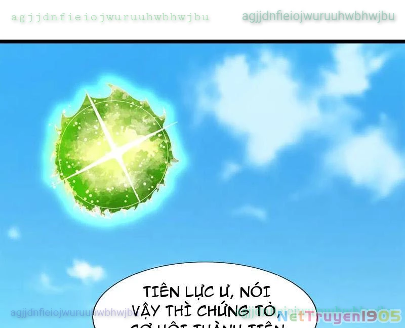 Ngủ Say Vạn Cổ: Xuất Thế Quét Ngang Chư Thiên Chapter 117 - 100