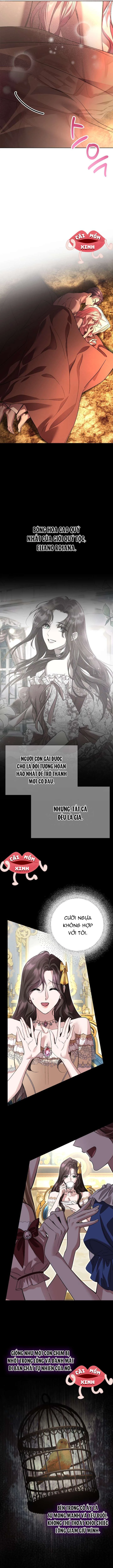 Cuộc Hôn Nhân Bị Bắt Cóc Xuyên Thời Gian Của Hoàng Hậu Chapter 33 - 4