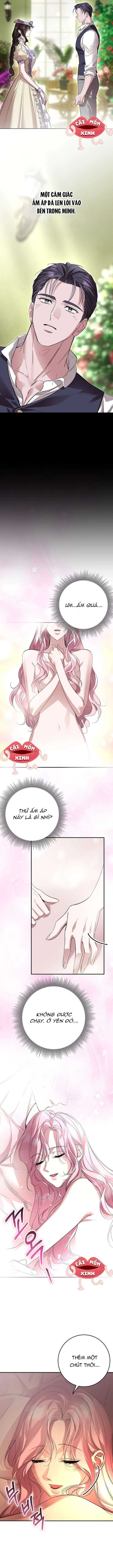 Cuộc Hôn Nhân Bị Bắt Cóc Xuyên Thời Gian Của Hoàng Hậu Chapter 33 - 6