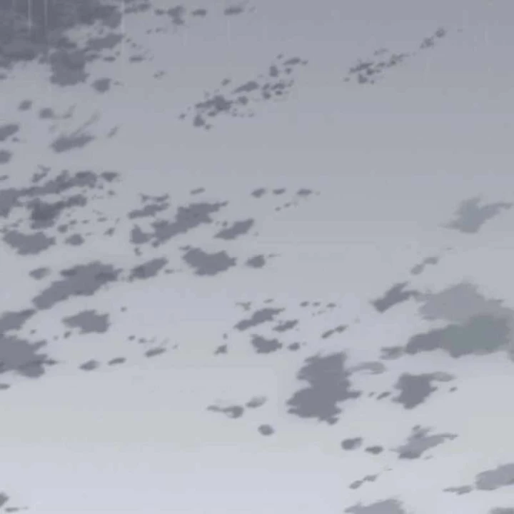 Đường Môn Truyền Kỳ Chapter 10 - 146