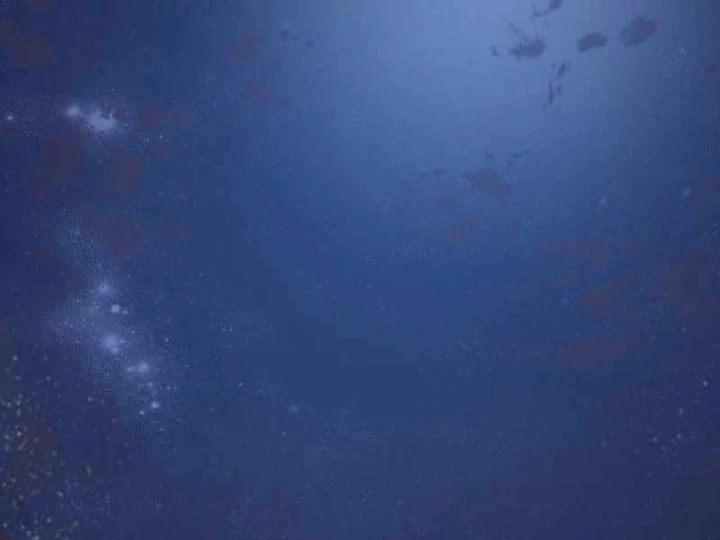 Đường Môn Truyền Kỳ Chapter 10 - 190