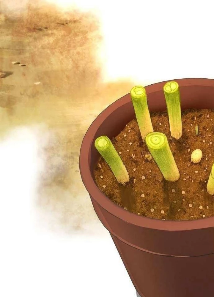 Không Gian Bí Mật Của Luật Sư Phi Thường Chapter 14 - 25