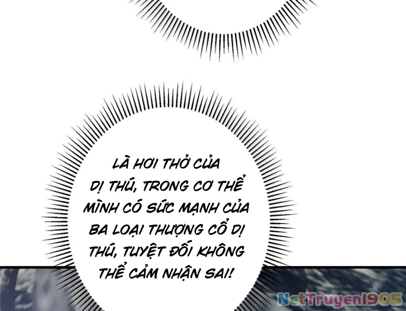 Chưởng Môn Khiêm Tốn Chút Chapter 546 - 78