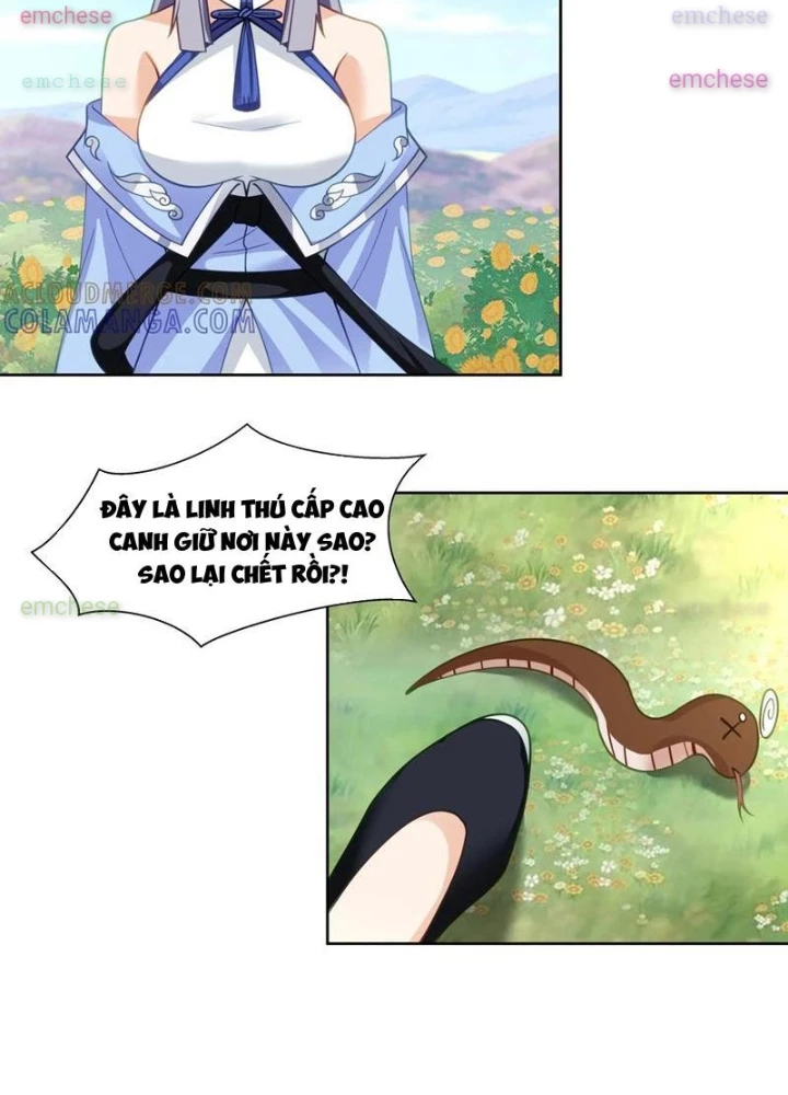 Nữ phụ tu tiên từ chối kịch bản làm pháo hôi Chapter 12 - 21