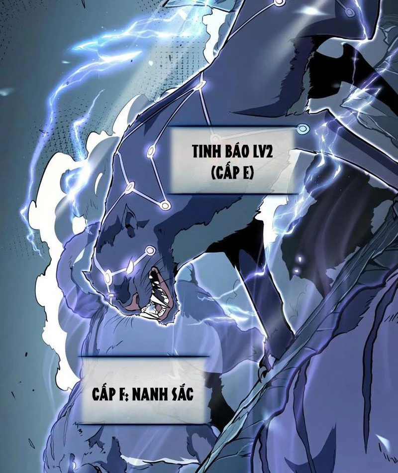 Thức Tỉnh Toàn Chức Chapter 19 - 13