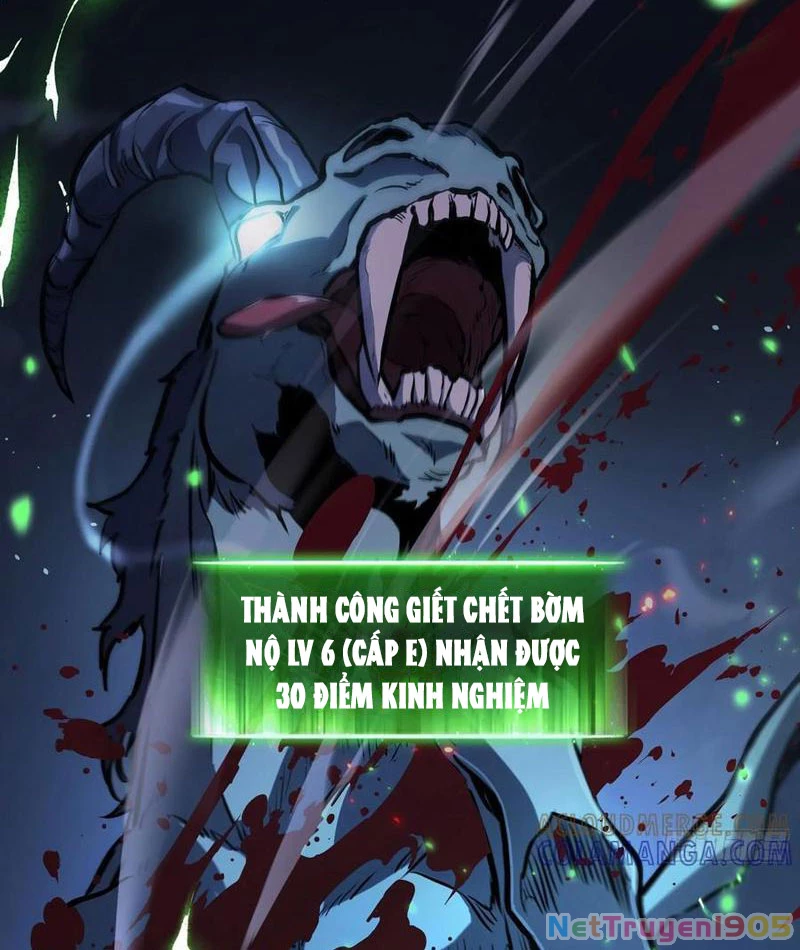 Thức Tỉnh Toàn Chức Chapter 19 - 24