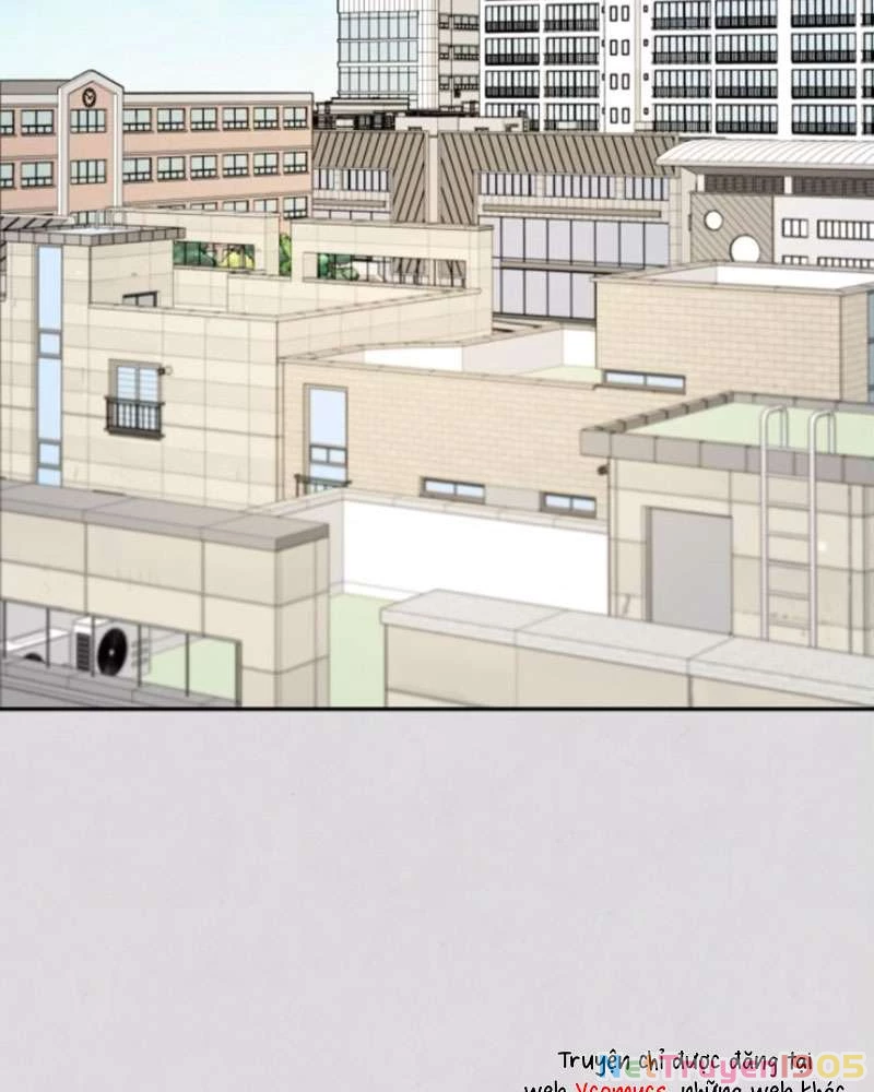 Trận Đấu Đồng Đội Của Những Tài Xế Xe Tải Chapter 38 - 24