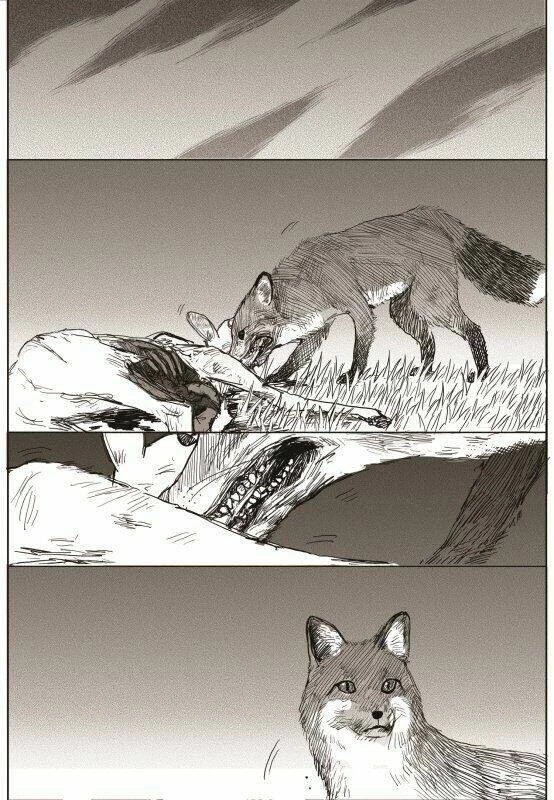 The Horizon Chapter 4 - 13