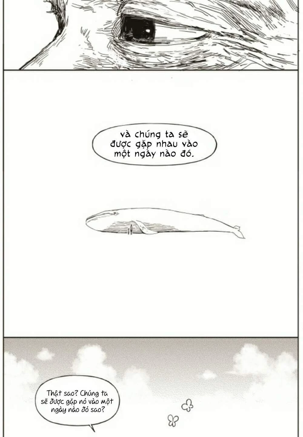 The Horizon Chapter 21 - 17